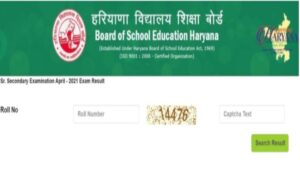 HBSE 12th Result 2024: 28 दिनों में तैयार 12वीं का परिणाम, 85 प्रतिशत से अधिक छात्र सफल; दोपहर को आधिकारिक घोषणा