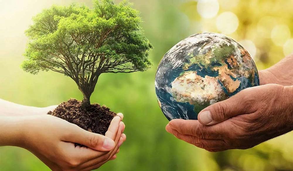 Read more about the article 22 अप्रैल को सभी स्कूलों में मनाया जाएगा पृथ्वी दिवस, पेड़ों पर लगेंगे क्यूआर कोड; छात्र बनाएंगे डिजिटल जानकारी