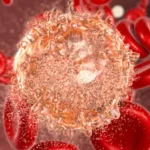 40 की उम्र के बाद बढ़ता है प्रोस्टेट कैंसर का खतरा: जानें लक्षण, जांच और बचाव!