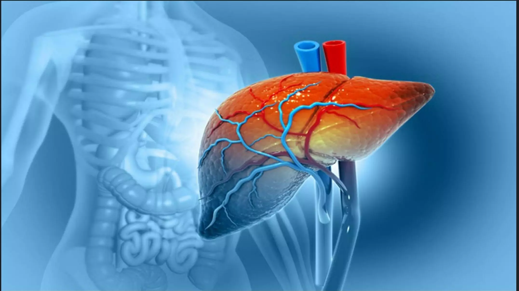 You are currently viewing आपकी थाली में छुपा है लिवर की बीमारी का ज़हर, जानिए किन आदतों से खतरे में है सेहत