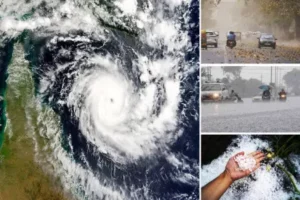 Read more about the article MP में मानसून का जोर: नीमच-मंदसौर में भारी बारिश की चेतावनी, भोपाल समेत कई जिलों में बूंदाबांदी जारी!