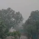 मध्यप्रदेश में मूसलधार बारिश का कहर: 2 जिलों में अति भारी और 13 जिलों में भारी वर्षा का अलर्ट, मौसम विभाग ने दी चेतावनी