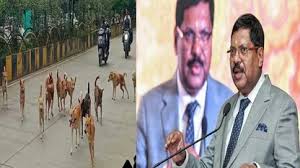 You are currently viewing दिल्ली-NCR से आवारा कुत्ते हटाने के आदेश पर सुप्रीम कोर्ट फिर कर सकता है पुनर्विचार, CJI बोले – “मैं देखूंगा”; 11 अगस्त को कोर्ट ने कहा था – कुत्तों को पकड़ो, नसबंदी करो, शेल्टर भेजो!