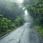 मध्यप्रदेश में दो दिन तक भारी बारिश का अलर्ट, कई जिलों में बाढ़ का खतरा; लो प्रेशर एरिया से बढ़ी बारिश की सक्रियता, इंदौर-खरगोन समेत 12 जिलों में चेतावनी!