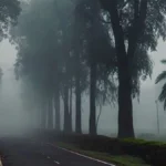 मध्यप्रदेश में मौसम बदला — दिन में धूप, रात में सिहरन! इंदौर-उज्जैन में बढ़ी ठंड, बालाघाट में अब भी बारिश; राजगढ़ 14.6°C के साथ बना सबसे ठंडा शहर