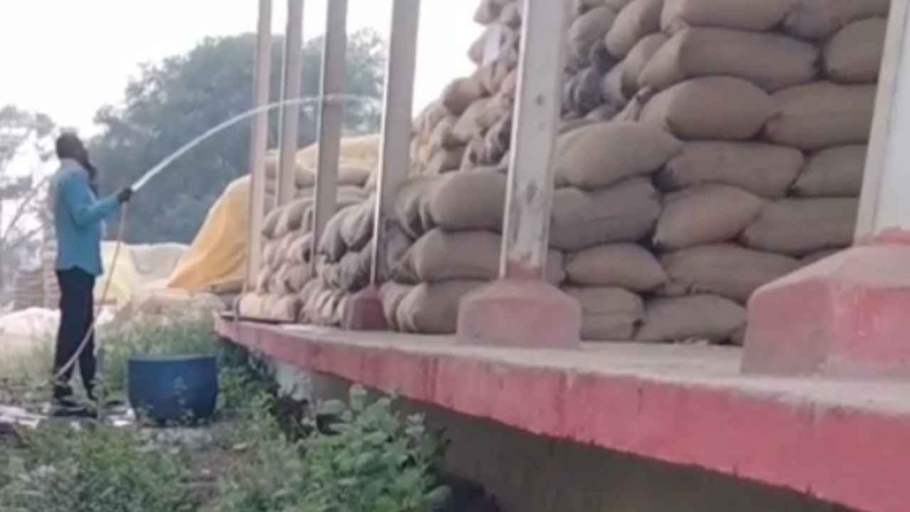 Read more about the article Raipur: आरंग धान खरीदी केंद्र में गड़बड़ी, वजन बढ़ाने धान को पानी से भिगोया, Video वायरल