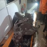 सिक्किम में निर्माणाधीन सुरंग पर भूस्खलन से बड़ा हादसा, 8 मजदूरों की मौत; 19 के अंदर फंसे होने की आशंका, राहत अभियान जारी