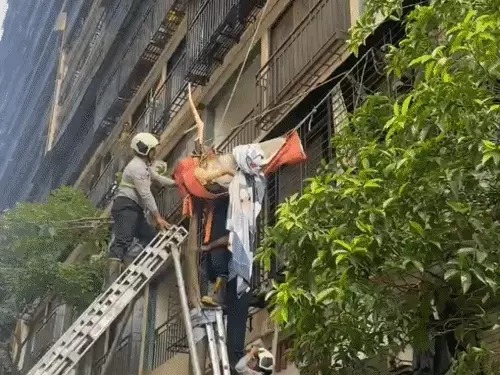 You are currently viewing मुंबई में ऊंचाई से गिरी नवविवाहिता, पेड़ में फंसने से बची जान